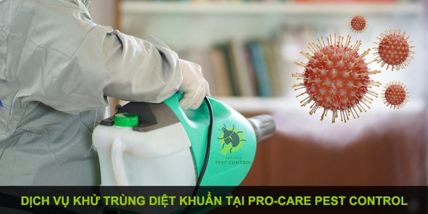 dịch vụ diệt khuẩn