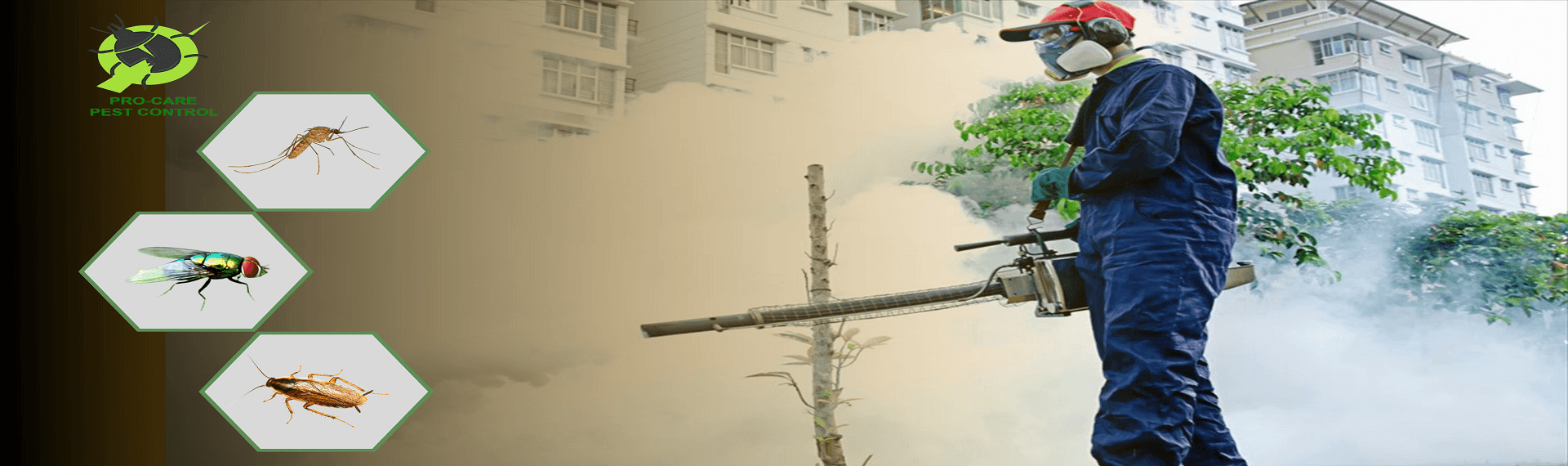 hình ảnh phun khói của công ty diệt côn trùng pro care pest control