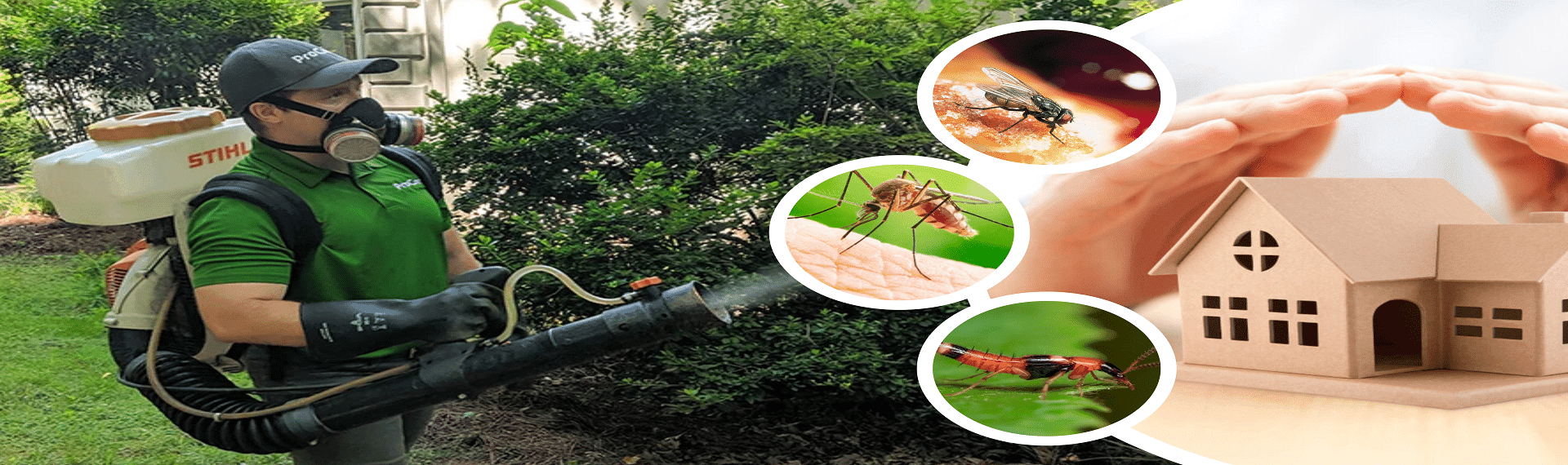 công ty diệt côn trùng pro care pest control