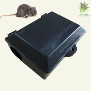 hộp bẫy chuột - Procare pest control