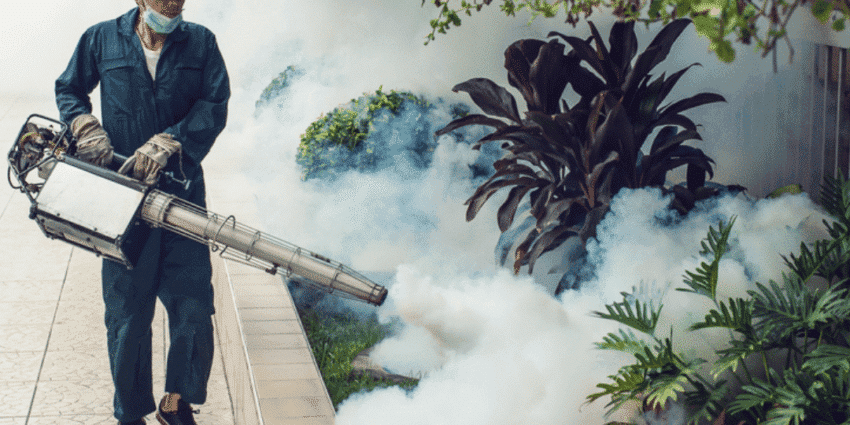 PRO CARE PEST CONTROL cam kết 100% hài lòng – nếu không, hoàn tiền! Với hơn 10 năm kinh nghiệm và hàng ngàn khách hàng tin tưởng