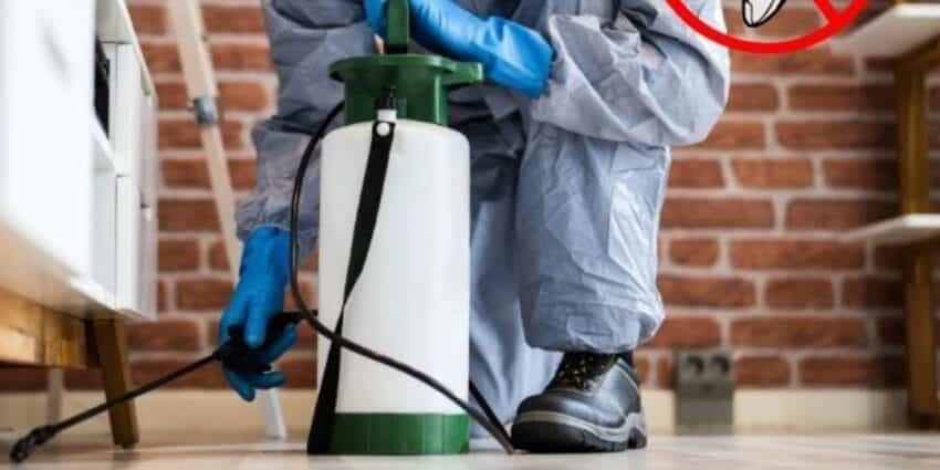 PRO CARE PEST CONTROL là đơn vị chuyên cung cấp dịch vụ kiểm soát ruồi, muỗi, gián, chuột cho chuỗi nhà hàng – quán cà phê – khách sạn – resort toàn miền Nam.
