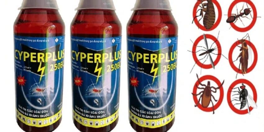 PRO CARE PEST CONTROL là đơn vị hàng đầu trong kiểm soát côn trùng an toàn tại Việt Nam.