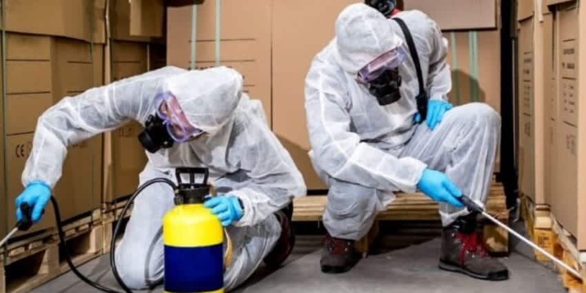 PRO CARE PEST CONTROL là đơn vị tiên phong áp dụng mô hình “Phòng ngừa trước – Kiểm tra định kỳ – Bảo hành dài hạn” trong kiểm soát mối.