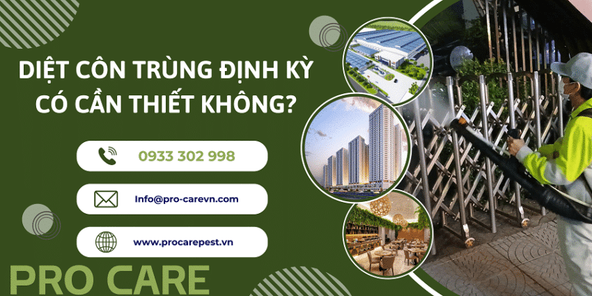 diet-con-trung-dinh-ky