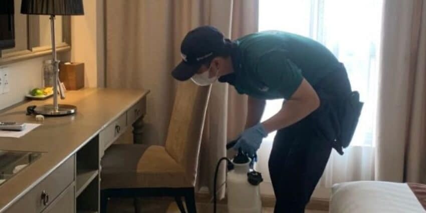 Dịch vụ kiểm soát ruồi muỗi tại khách sạn đang trở thành nhu cầu thiết yếu trong ngành dịch vụ lưu trú