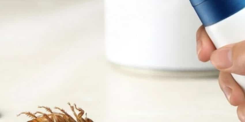 PRO CARE PEST CONTROL là đơn vị hàng đầu trong lĩnh vực kiểm soát côn trùng tại TP.HCM, Long An, Bình Dương… với phương châm: Hiệu quả – An toàn – Không mùi – Không ảnh hưởng sức khỏe.