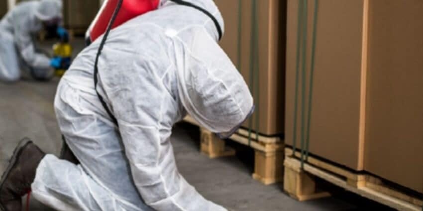 PRO CARE PEST CONTROL là đơn vị kiểm soát côn trùng theo tiêu chuẩn HACCP