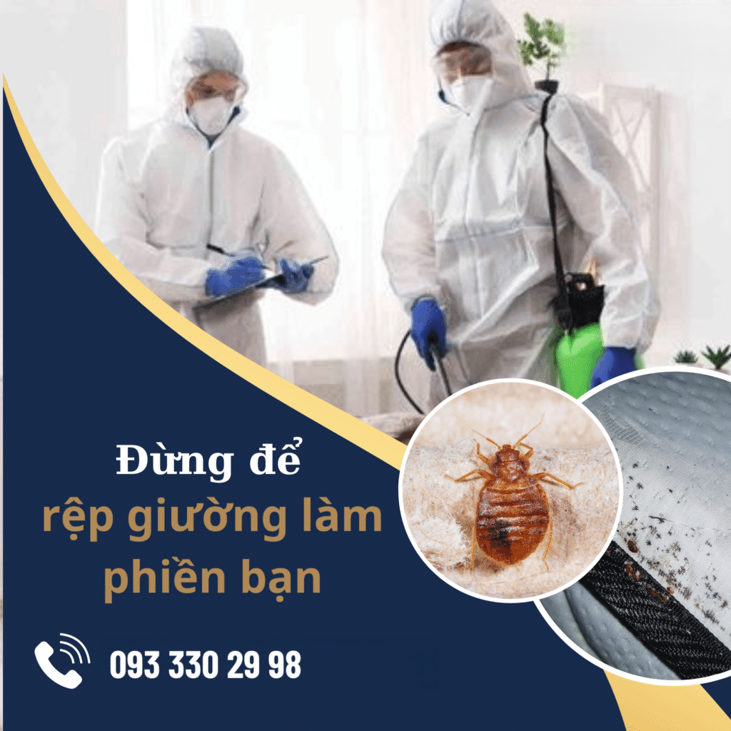Dịch vụ kiểm soát rệp