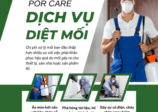 DV diệt mối 1