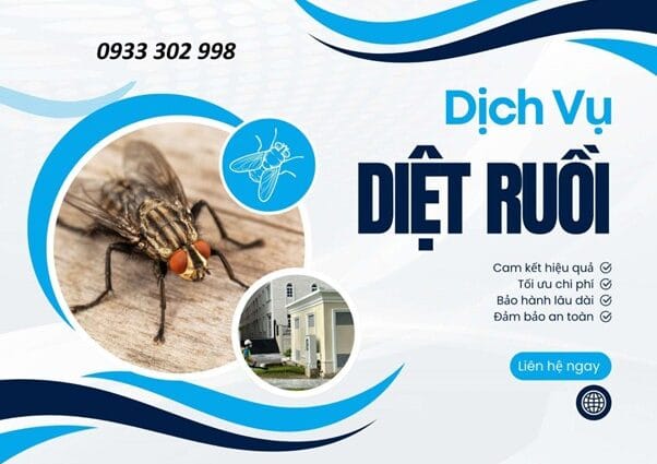 Dịch Vụ Xử Lý Ruồi