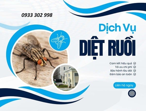 Dịch Vụ Xử Lý Ruồi