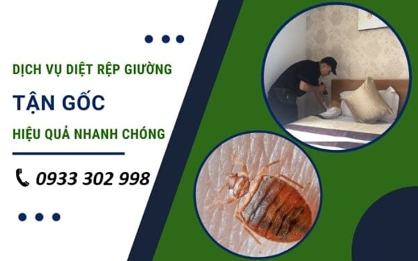 Dịch Vụ Diệt Rệp Chuyên Nghiệp – Không Phát Sinh Chi Phí, Báo Giá Minh Bạch
Dịch vụ diệt rệp chuyên nghiệp – Không phát sinh chi phí ẩn, báo giá rõ ràng, xử lý tận gốc, an toàn cho gia đình. Cam kết hiệu quả lâu dài, tư vấn tận nơi.
Tại Sao Nên Chọn Dịch Vụ Diệt Rệp Chuyên Nghiệp Thay Vì Tự Xử Lý Tại Nhà?
Rệp – cái tên nghe có vẻ nhỏ bé nhưng lại là nỗi ám ảnh lớn với nhiều hộ gia đình, khách sạn, hay văn phòng. Từ những vết cắn đỏ ngứa râm ran đến cảm giác bị “ăn sống” trong giấc ngủ, không ai muốn đối mặt với loài côn trùng cứng đầu này. Thế nhưng, điều khiến nhiều người lưỡng lự khi tìm đến dịch vụ diệt rệp lại không chỉ nằm ở sự phiền toái của loài rệp, mà còn ở nỗi lo “báo giá một đằng, tính tiền một nẻo”. Đó chính là lý do tại sao dịch vụ diệt rệp chuyên nghiệp với tiêu chí “không phát sinh chi phí – báo giá minh bạch” đang dần trở thành lựa chọn hàng đầu.
Vì sao nên chọn dịch vụ diệt rệp chuyên nghiệp thay vì tự xử lý?
Rệp không dễ “đuổi đi” như bạn nghĩ
Nhiều người thường chọn cách mua thuốc xịt, đặt bẫy rệp, hoặc vệ sinh lại toàn bộ nhà cửa khi phát hiện dấu hiệu nhiễm rệp. Tuy nhiên, rệp là loài có khả năng sống sót cực kỳ cao. Chúng ẩn nấp ở những nơi rất khó tiếp cận như khe giường, chân tường, gầm nệm và thậm chí là trong ổ điện. Nếu không xử lý đúng cách, việc “diệt rệp” sẽ trở thành “nuôi rệp” mà không biết.
Giải pháp chuyên sâu, hiệu quả lâu dài
Dịch vụ diệt rệp chuyên nghiệp không chỉ sử dụng hóa chất đặc trị mà còn áp dụng các phương pháp cơ học, nhiệt học kết hợp để tiêu diệt rệp ở cả ba giai đoạn: trứng – ấu trùng – trưởng thành. Quan trọng hơn, dịch vụ chất lượng sẽ đảm bảo hiệu quả lâu dài và ngăn tái nhiễm, điều mà các biện pháp tại nhà không thể đảm bảo.
Dịch Vụ Diệt Rệp Chuyên Nghiệp – Không Phát Sinh Chi Phí, Cam Kết Minh Bạch Từ Đầu
Nỗi ám ảnh của những chi phí ẩn
Không ít khách hàng từng phản ánh về việc ban đầu được báo giá vài trăm nghìn nhưng khi kết thúc lại bị tính cả triệu đồng với lý do “phát sinh diện tích”, “phải xử lý thêm khu phụ”, hay “nhiễm nặng hơn dự kiến”. Những chiêu trò này làm mất lòng tin vào các đơn vị cung cấp dịch vụ diệt rệp chuyên nghiệp, khiến khách hàng do dự mỗi khi cần hỗ trợ.
Minh bạch từ khâu khảo sát đến thanh toán
Một đơn vị cung cấp dịch vụ diệt rệp chuyên nghiệp sẽ luôn rõ ràng từ bước đầu: khảo sát miễn phí, báo giá chi tiết theo diện tích hoặc từng phòng, ghi nhận rõ mức độ nhiễm rệp để đưa ra chi phí xử lý tương xứng. Quan trọng nhất là sau khi thống nhất giá, sẽ không phát sinh thêm bất kỳ khoản nào – đó là yếu tố giúp khách hàng yên tâm sử dụng dịch vụ.
Quy Trình Dịch Vụ Diệt Rệp Chuyên Nghiệp – Đơn giản nhưng hiệu quả
Bước 1 – Khảo sát và tư vấn tại chỗ
Ngay sau khi tiếp nhận thông tin, đơn vị Dịch Vụ Diệt Rệp Chuyên Nghiệp sẽ cử kỹ thuật viên tới tận nơi để khảo sát thực tế. Tùy vào quy mô và mức độ nhiễm rệp, chuyên viên sẽ ghi nhận hiện trạng và tư vấn phương án phù hợp nhất.
Bước 2 – Báo giá minh bạch
Báo giá được gửi ngay sau khảo sát, kèm chi tiết từng hạng mục xử lý: số lượng phòng, loại hình xử lý (phun thuốc, xông hơi, kết hợp cơ học…), chi phí phát sinh (nếu có). Tuy nhiên, nguyên tắc là KHÔNG phát sinh thêm ngoài báo giá đã thống nhất.
Bước 3 – Tiến hành xử lý
Sử dụng máy móc chuyên dụng và hóa chất được cấp phép an toàn, nhân viên tiến hành xử lý trong thời gian phù hợp (thường 1–3 tiếng tùy khu vực). Trong suốt quá trình, khách hàng được khuyến nghị cách bảo vệ người thân và vật nuôi, cũng như dọn dẹp sơ bộ sau đó.
Bước 4 – Hướng dẫn phòng tái nhiễm
Sau khi xử lý xong, đơn vị sẽ cung cấp hướng dẫn chi tiết cách vệ sinh, giặt giũ, dọn dẹp để tránh rệp quay lại. Đồng thời, có lịch hẹn tái kiểm tra nếu cần.
Dịch vụ diệt rệp chuyên nghiệp phù hợp với những đối tượng nào?
Hộ gia đình
Khi phát hiện rệp tại giường ngủ, phòng khách hay phòng trẻ nhỏ, không nên chần chừ xử lý. Việc để rệp tồn tại quá lâu sẽ khiến tình trạng nhiễm lan rộng, ảnh hưởng sức khỏe và giấc ngủ.Hãy để đội dịch vụ diệt rệp chuyên nghiệp xử lý thay vì tự làm.
Khách sạn, homestay, ký túc xá
Đây là những nơi có mật độ người cao, dễ mang rệp từ nơi khác đến. Việc chủ động sử dụng dịch vụ diệt rệp chuyên nghiệp theo định kỳ giúp bảo vệ uy tín cơ sở và tránh phản hồi tiêu cực từ khách hàng.
Văn phòng, kho lưu trữ, cơ sở may mặc
Những nơi có nhiều chất liệu vải, giấy, vật dụng dễ hút ẩm thường là “thiên đường” của rệp. Xử lý định kỳ không chỉ loại bỏ rệp mà còn tránh ảnh hưởng đến nhân viên và sản phẩm.
Ưu điểm nổi bật của dịch vụ diệt rệp chuyên nghiệp
Sử dụng hóa chất an toàn
Các loại thuốc diệt rệp sử dụng trong dịch vụ diệt rệp chuyên nghiệp được kiểm định, có giấy phép lưu hành từ Bộ Y tế, không gây độc hại cho người và vật nuôi. Đặc biệt, thuốc có hiệu lực tồn lưu kéo dài, giúp ngăn ngừa rệp quay lại trong nhiều tuần.
Thiết bị hiện đại hỗ trợ tối đa
Ngoài hóa chất, các thiết bị như máy xông hơi nhiệt, máy hút chân không, đầu phun áp lực được áp dụng để tăng hiệu quả tiêu diệt và đảm bảo không sót rệp trong các khe hẹp.
Dịch vụ hậu mãi chu đáo
Nhiều đơn vị hiện nay còn cung cấp gói bảo hành từ 15–30 ngày. Nếu phát hiện rệp sau thời gian xử lý, kỹ thuật viên sẽ quay lại kiểm tra và xử lý bổ sung hoàn toàn miễn phí.
Cách Lựa Chọn Dịch Vụ Diệt Rệp Chuyên Nghiệp Uy Tín và Hiệu Quả Nhất
Không phải cứ gõ “dịch vụ diệt rệp chuyên nghiệp” trên Google là sẽ tìm được đơn vị tốt. Dưới đây là một số tiêu chí quan trọng để lựa chọn:
Có giấy phép hoạt động và bảo hiểm dịch vụSử dụng thuốc có kiểm định, rõ nguồn gốcBáo giá minh bạch, không mập mờCó quy trình xử lý rõ ràngĐược khách hàng đánh giá tốt trên các nền tảng như Google Maps, Facebook, các diễn đànNhững Lưu Ý Quan Trọng Trước và Sau Khi Sử Dụng Dịch Vụ Diệt Rệp Chuyên Nghiệp
Trước khi xử lý:
Dọn sạch đồ đạc dưới gầm giường, tủGiặt sơ chăn ga, màn, gốiChe đậy thực phẩm, dọn vật nuôi ra khỏi khu xử lýSau khi xử lý:
Mở cửa thông gió trong 1–2 giờKhông nên lau rửa ngay các bề mặt đã xử lý (ít nhất 24h)Giặt lại toàn bộ đồ vải bằng nước nóngChọn Đúng Dịch Vụ Diệt Rệp Chuyên Nghiệp – Bước Đầu Cho Giấc Ngủ Bình Yên
Diệt rệp không khó, nhưng cần đúng cách và đúng người làm. Thay vì tốn kém thời gian, tiền bạc và cả sức khỏe vào những phương pháp thiếu hiệu quả, hãy chọn dịch vụ diệt rệp chuyên nghiệp – nơi có quy trình rõ ràng, thiết bị hiện đại, hóa chất an toàn và quan trọng nhất là báo giá minh bạch, không phát sinh chi phí. Đây không chỉ là cách giải quyết vấn đề triệt để mà còn là sự đầu tư đúng đắn cho không gian sống an toàn, sạch sẽ và không còn bóng dáng loài rệp đáng ghét.Thông tin tham khảo dịch vụ chất lượng 👍
Website: https://procarepest.vn/
Fanpage : https://www.facebook.com/procarepc
Tiktok: https://www.tiktok.com/@procarepestcontrol
Hotline: 0933 302 998Dịch Vụ Diệt Rệp Chuyên Nghiệp
