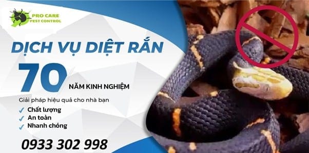 Diệt rắn