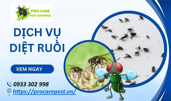 Công Ty Kiểm Soát Ruồi