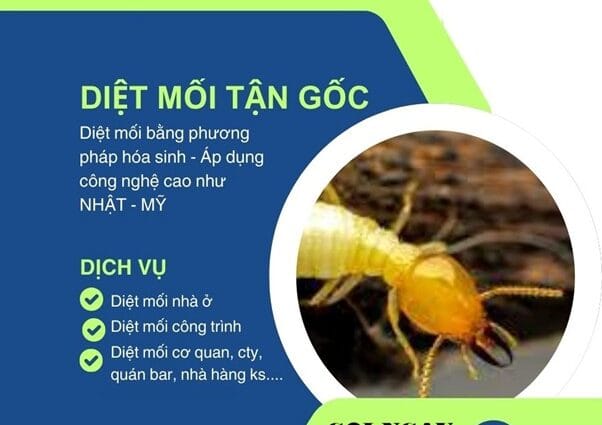 DV diệt mối -1