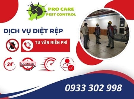 Công Ty Diệt Rệp