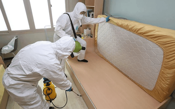 Công Ty Diệt Rệp