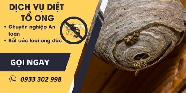Cách Xử Lý Tổ Ong Vò Vẽ
