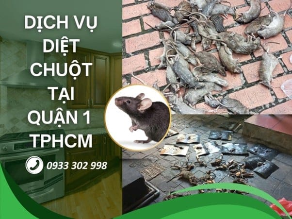 Dịch Vụ Diệt Chuột