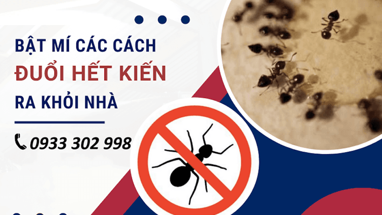 Cách Đuổi Kiến