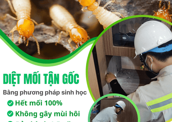 Loại bỏ mối