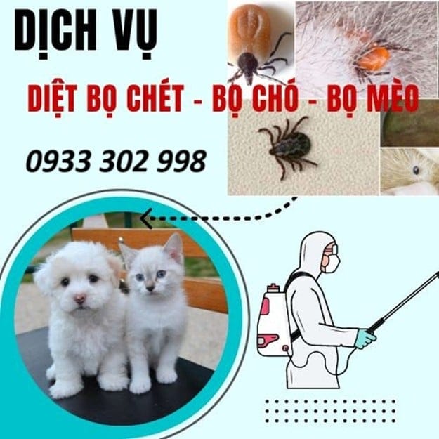 Xịt Ve Chó
