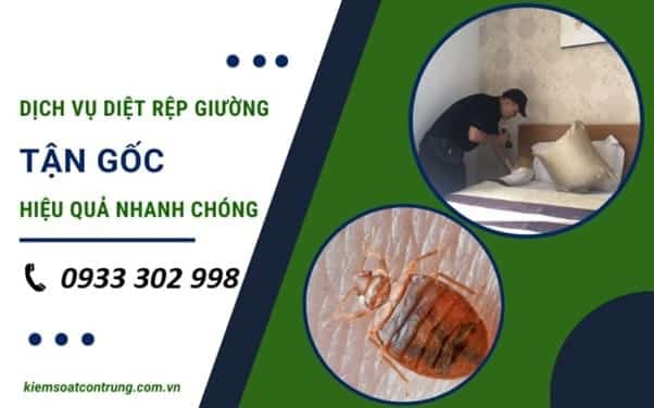 Diệt Rệp Ở Quận 1