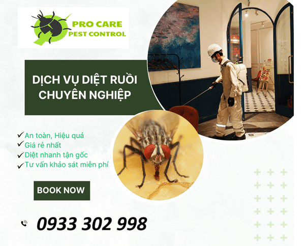 Dịch Vụ Kiểm Soát Ruồi
