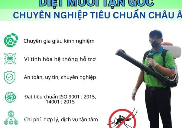 Diệt Muỗi Dịch Vụ Tận Gốc, Không Lo Tái Phát