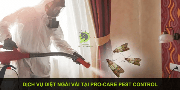 Xử lý ngài vải