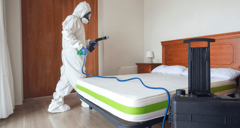 Rệp Giường Là Gì