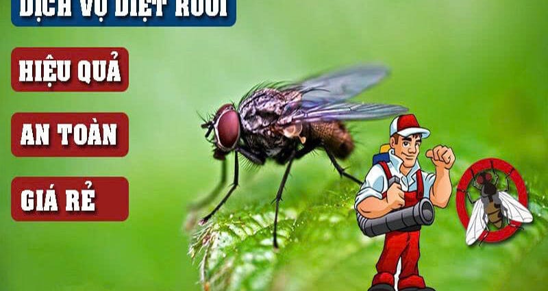 Dịch Vụ Phòng Chống Ruồi