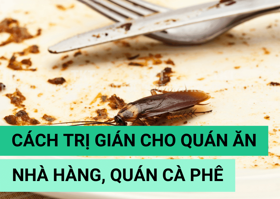 Dịch Vụ Diệt Côn Trùng An Toàn Cho Quán Cà Phê
