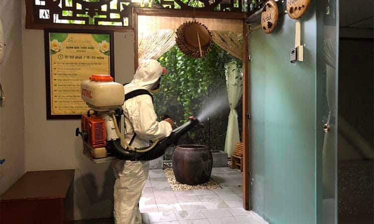 Dịch Vụ Diệt Mối Tại TP.HCM