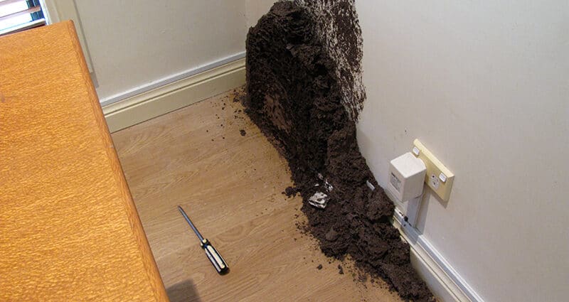 Dịch Vụ Diệt Mối Xã Xuân Bắc