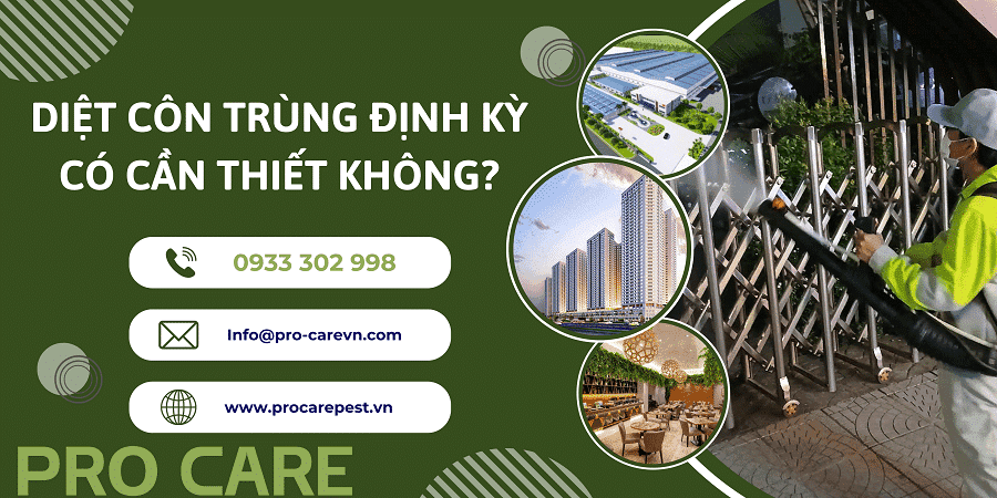 Phun Thuốc Diệt Côn Trùng Định Kỳ