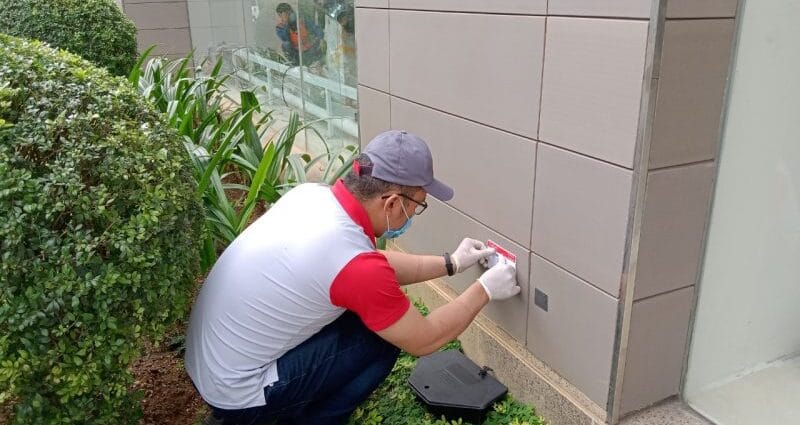 Diệt Mối Bằng Vi Sóng