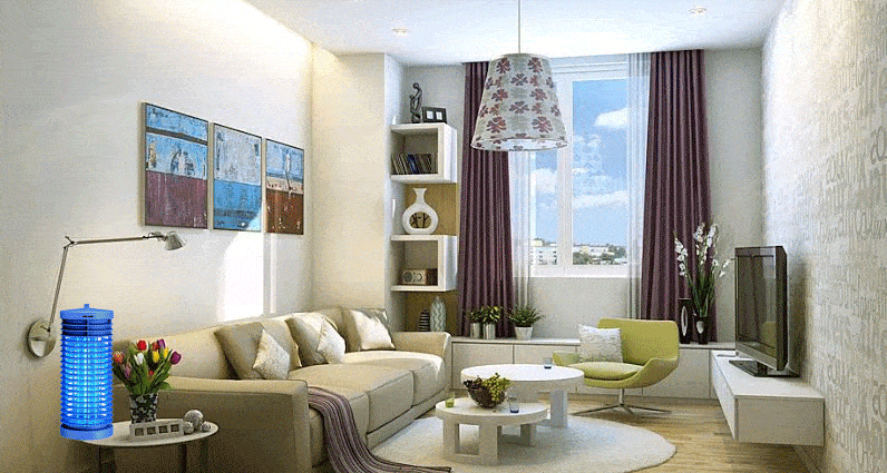 Diệt Côn Trùng An Toàn Cho Trẻ Nhỏ