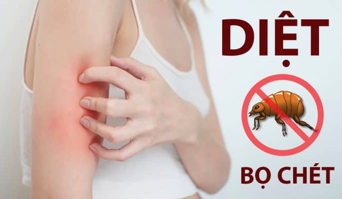 Diệt Bọ Chét An Toàn