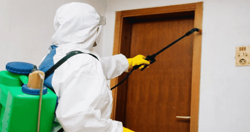 Diệt Mối Tại Hà Nội Uy Tín