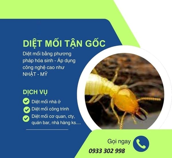 Diệt Mối Mùa Mưa