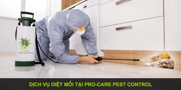 Diệt Mối Trong Công Ty