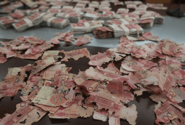 Mối Ăn Giấy Tờ Xử Lý Ra Sao