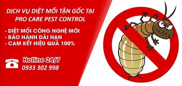 Diệt Mối Cho Nhà Xưởng