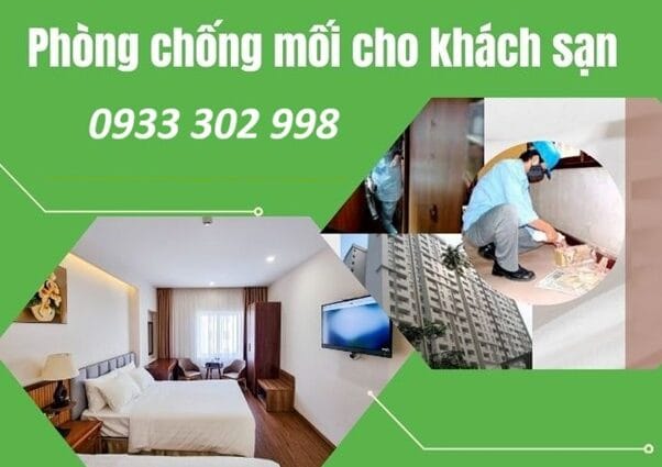 Diệt Mối Cho Khách Sạn