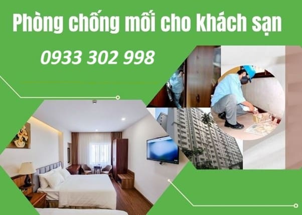 Diệt Mối Cho Khách Sạn