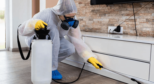 Diệt Mối Tận Gốc