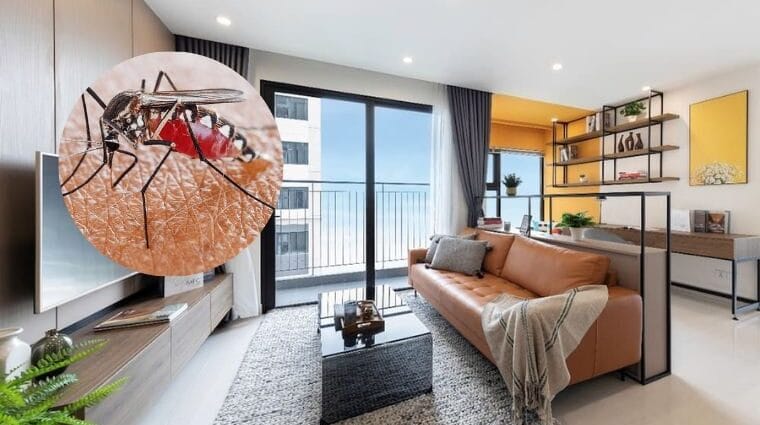 Phun Thuốc Diệt Muỗi Hiệu Quả