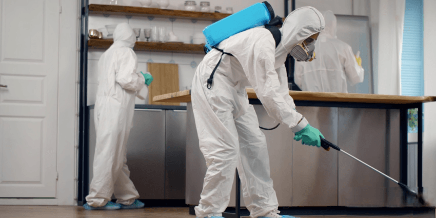 Công Ty Diệt Côn Trùng Chuyên Nghiệp